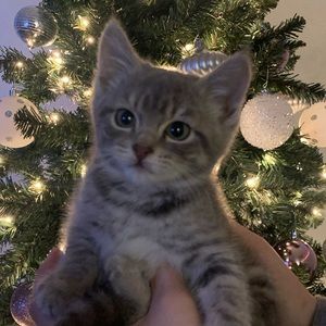 Meet your Posher, Natalia